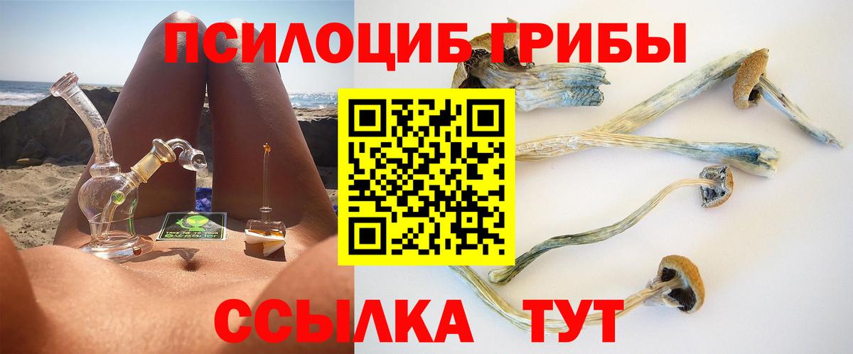 Псилоцибиновые грибы GOLDEN TEACHER Железноводск