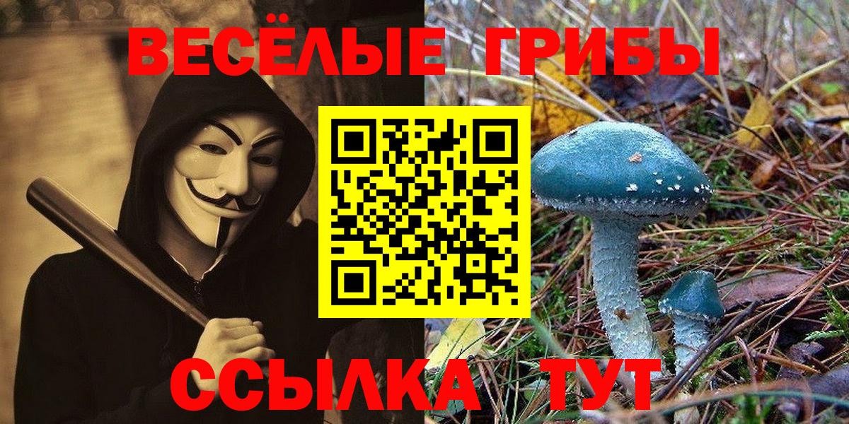 Псилоцибиновые грибы ЛСД  Галлюциногенные грибы прущие грибы  Железноводск  Вход с VPN 